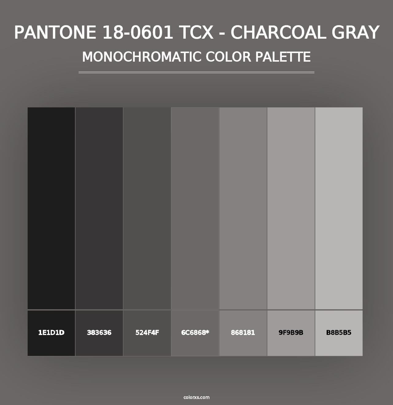 PANTONE 18-0601 TCX - Charcoal Gray - Monochromatic Color Palette