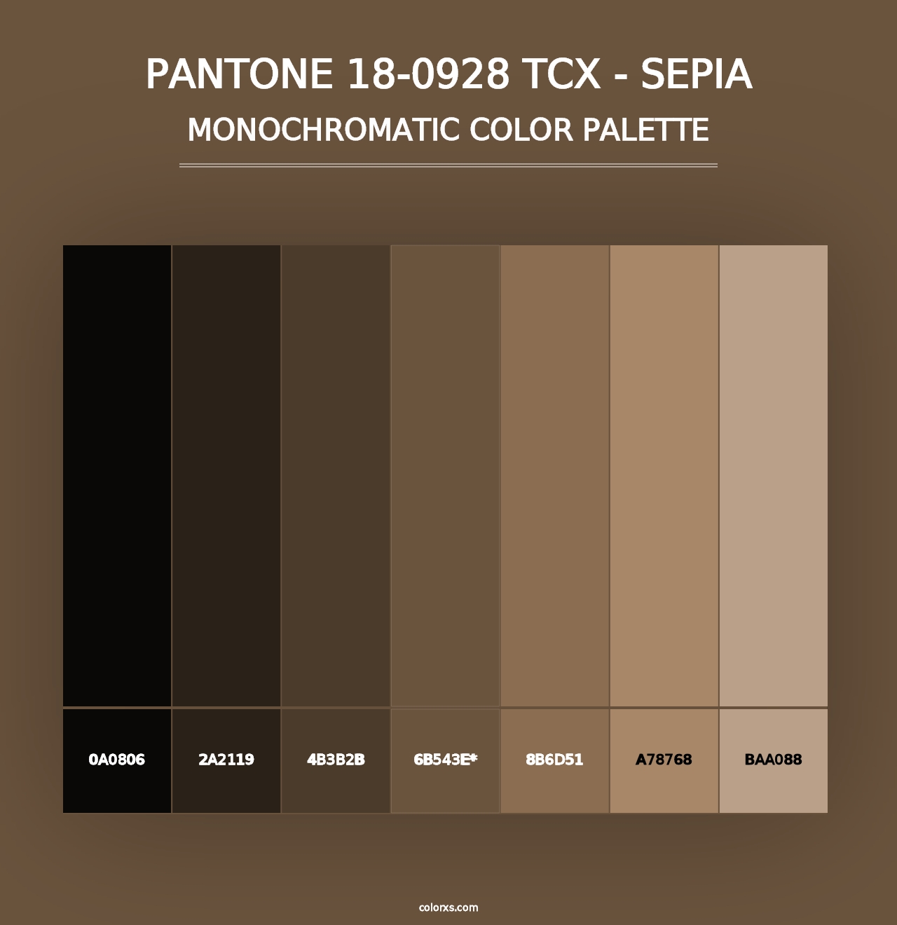 PANTONE 18-0928 TCX - Sepia - Monochromatic Color Palette