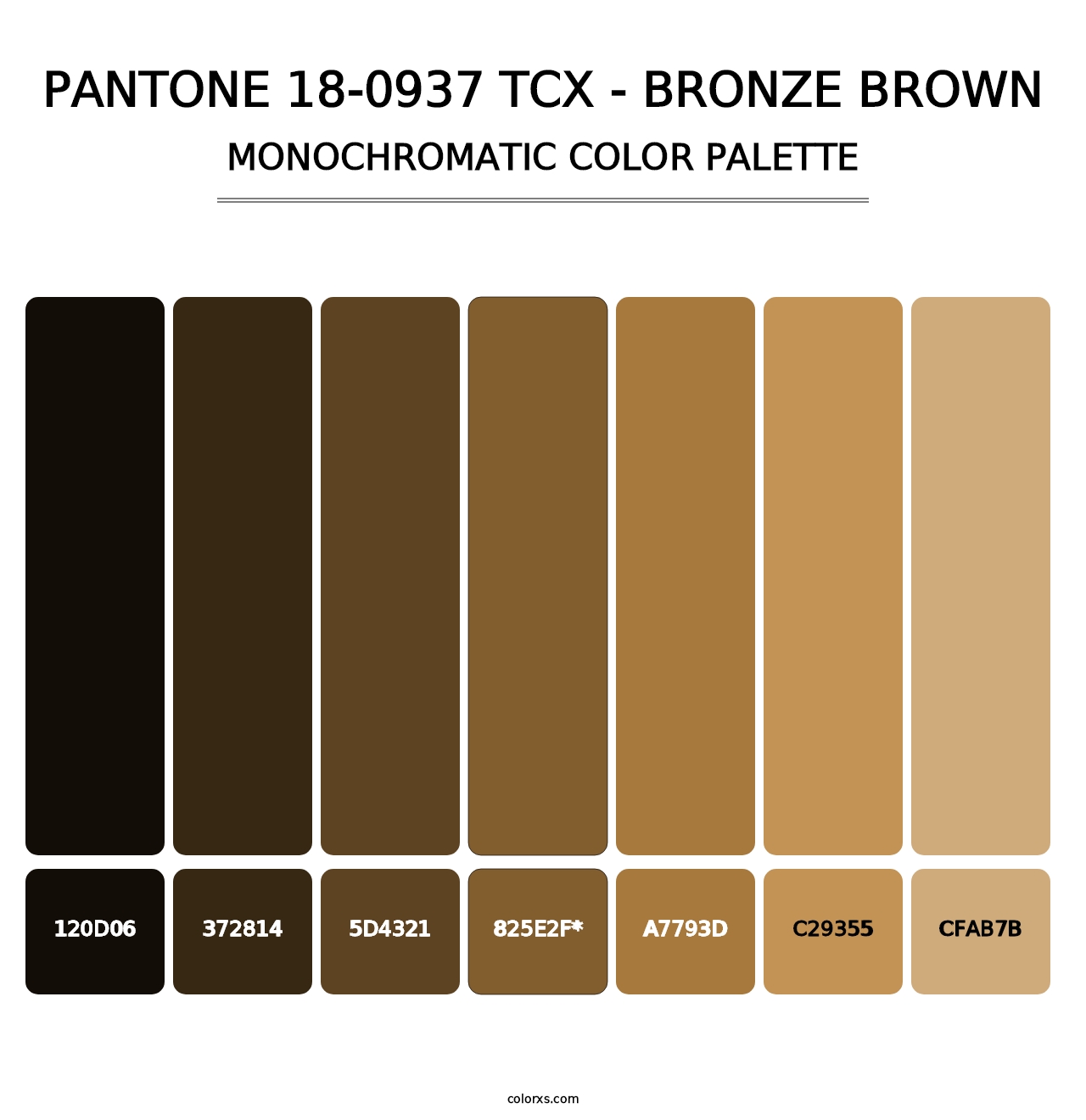 PANTONE 18-0937 TCX - Bronze Brown - Monochromatic Color Palette