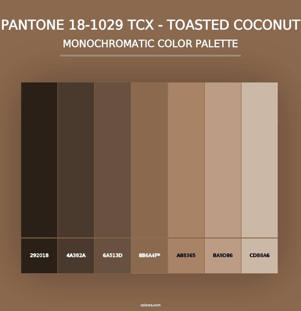 PANTONE 18-1029 TCX - Toasted Coconut - Monochromatic Color Palette