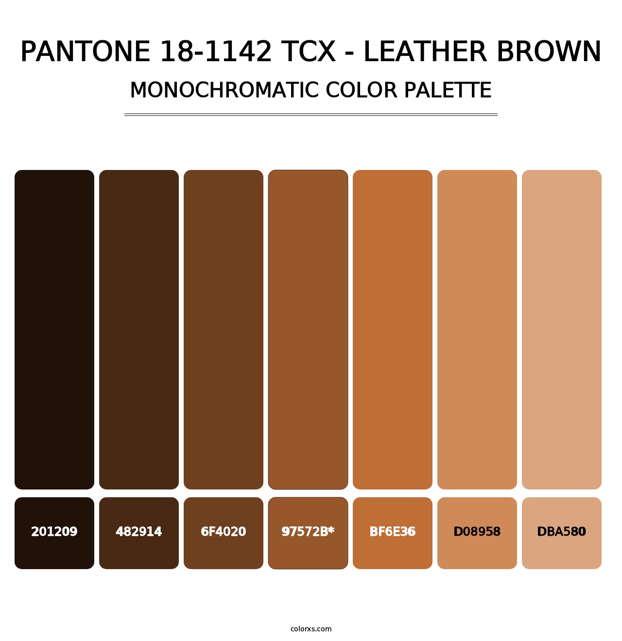 PANTONE 18-1142 TCX - Leather Brown - Monochromatic Color Palette