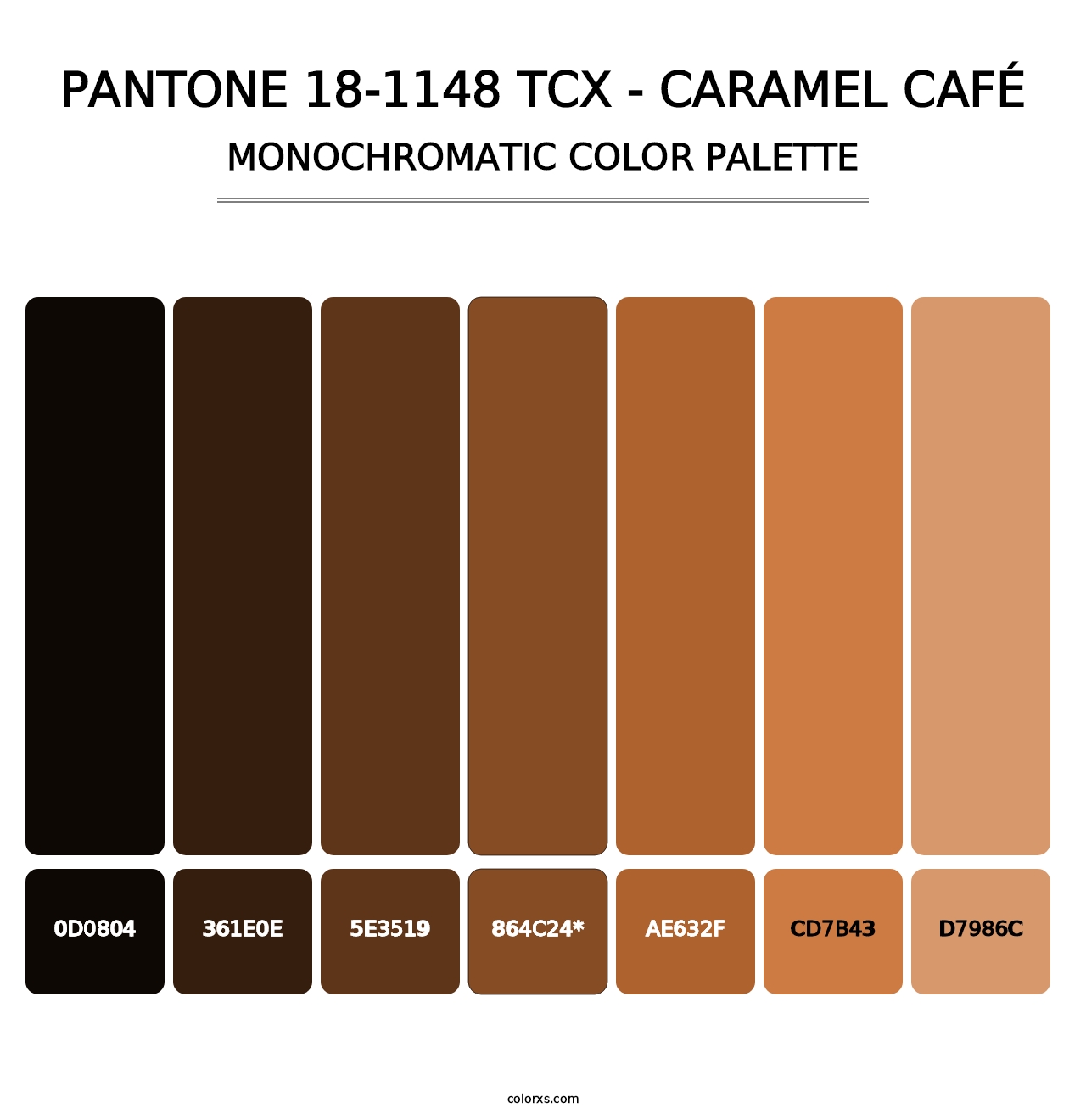 PANTONE 18-1148 TCX - Caramel Café - Monochromatic Color Palette