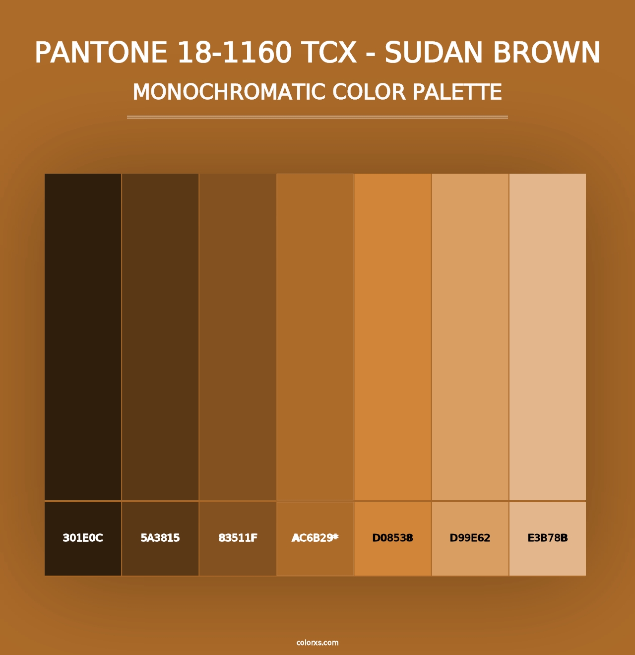 PANTONE 18-1160 TCX - Sudan Brown - Monochromatic Color Palette