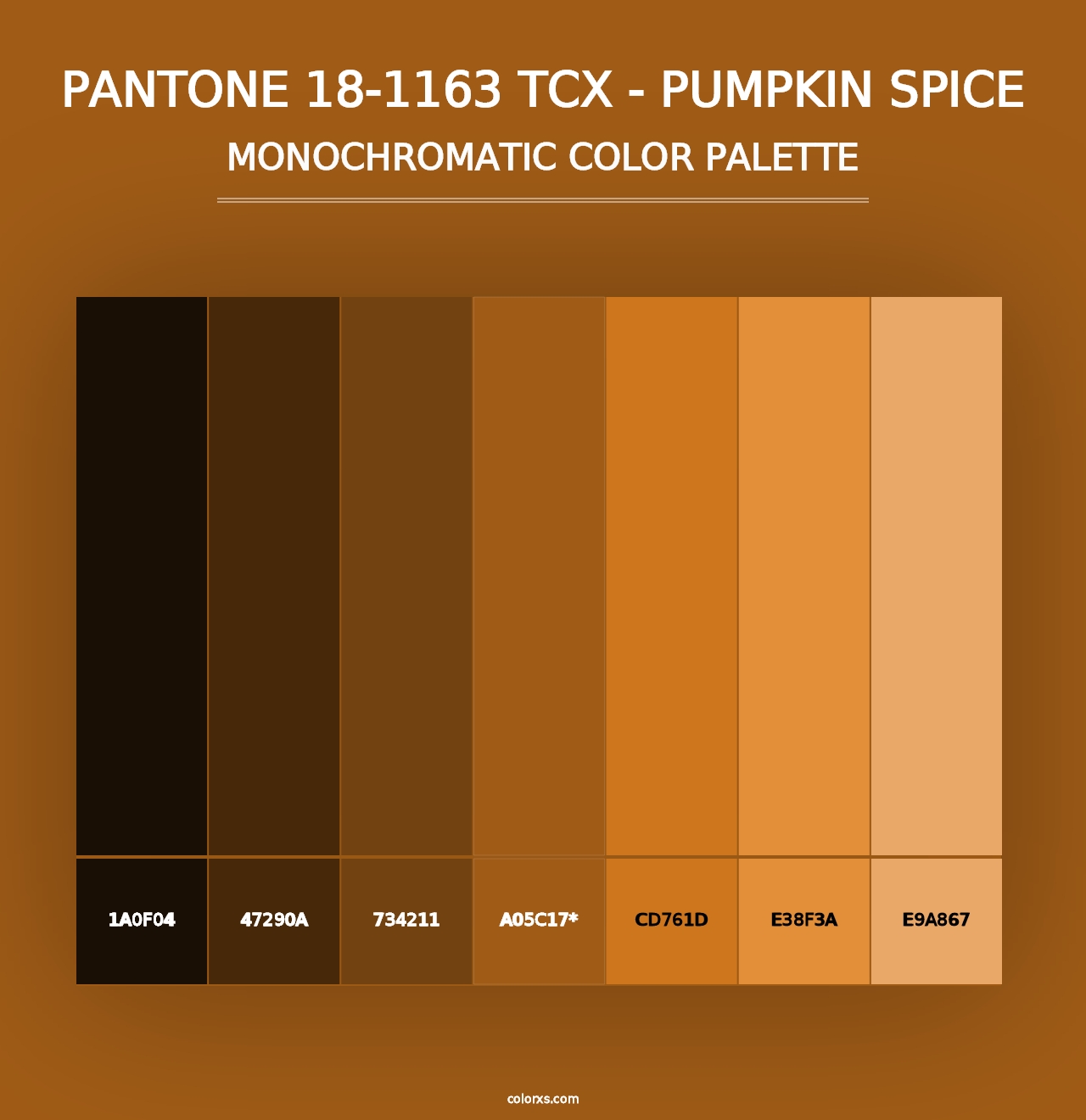 PANTONE 18-1163 TCX - Pumpkin Spice - Monochromatic Color Palette