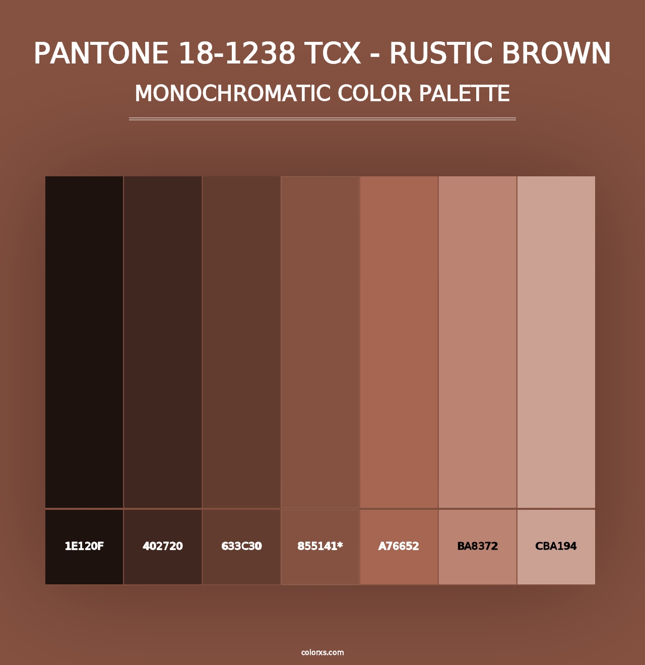 PANTONE 18-1238 TCX - Rustic Brown - Monochromatic Color Palette