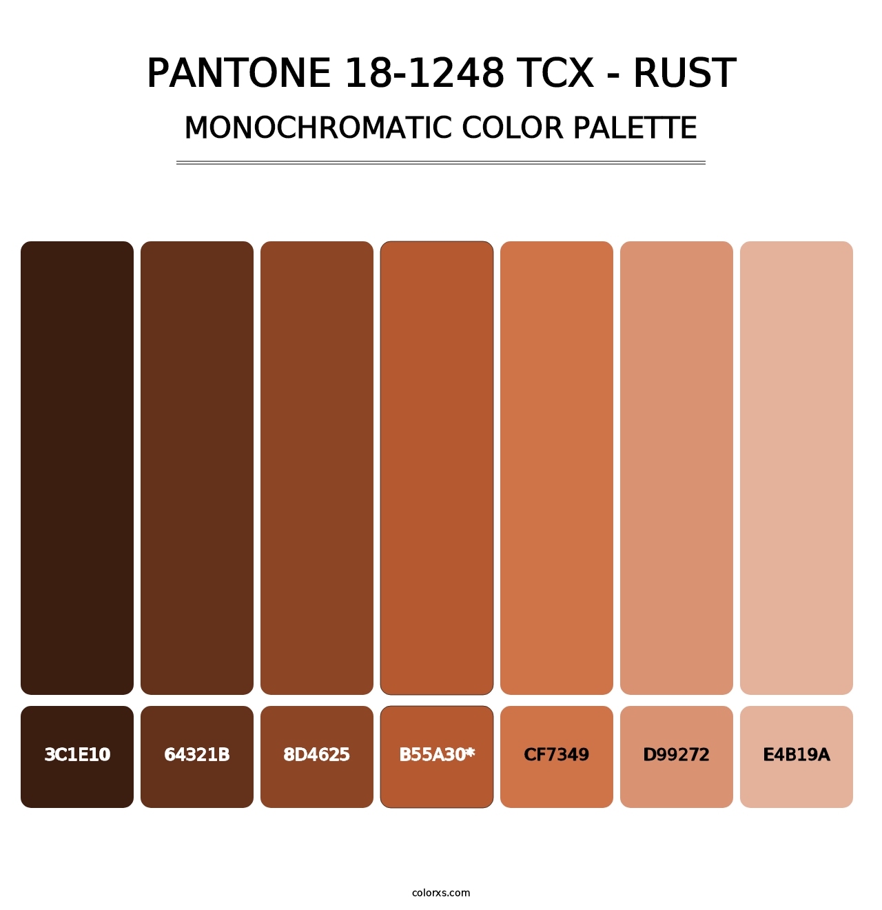 PANTONE 18-1248 TCX - Rust - Monochromatic Color Palette