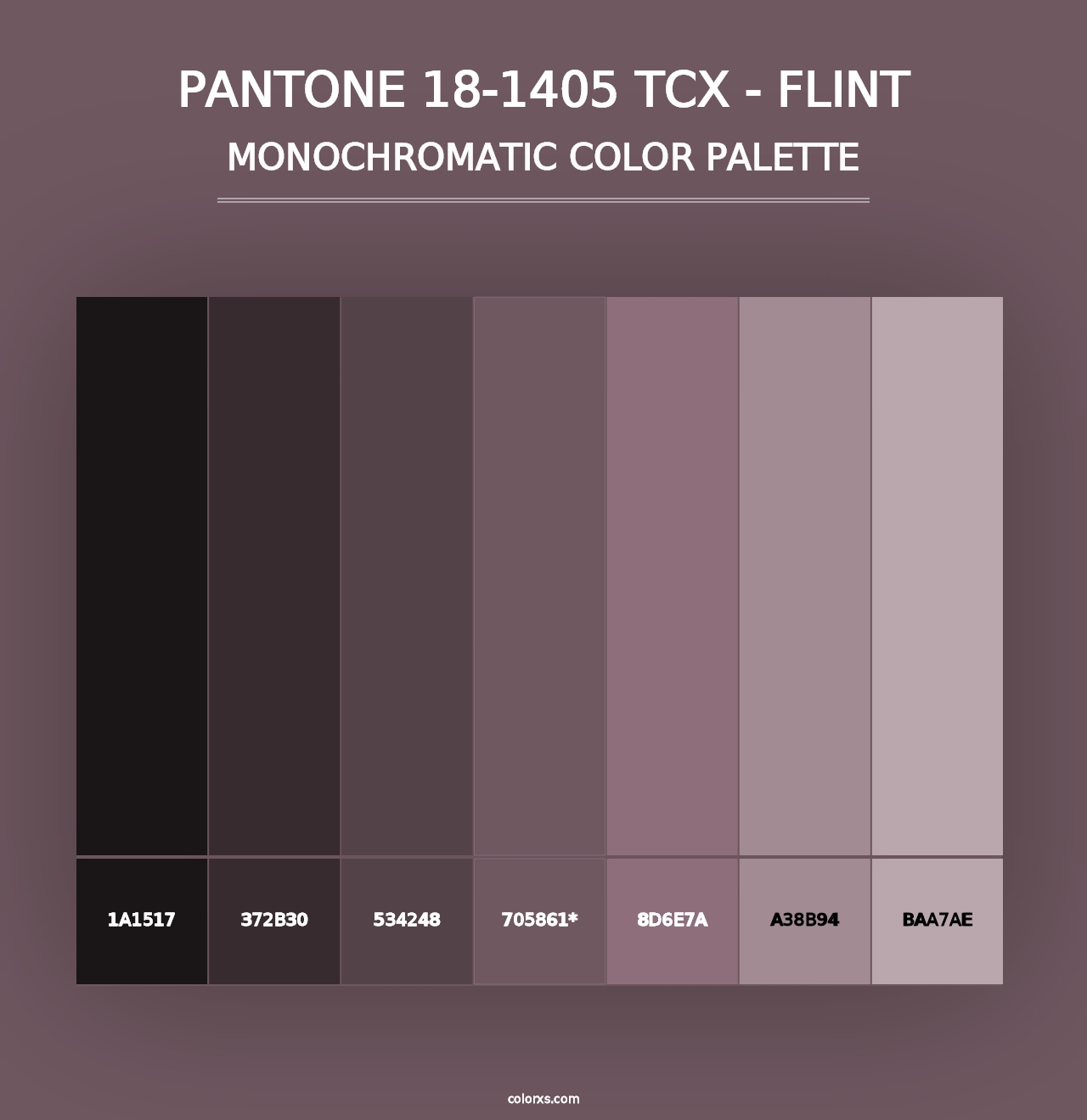 PANTONE 18-1405 TCX - Flint - Monochromatic Color Palette