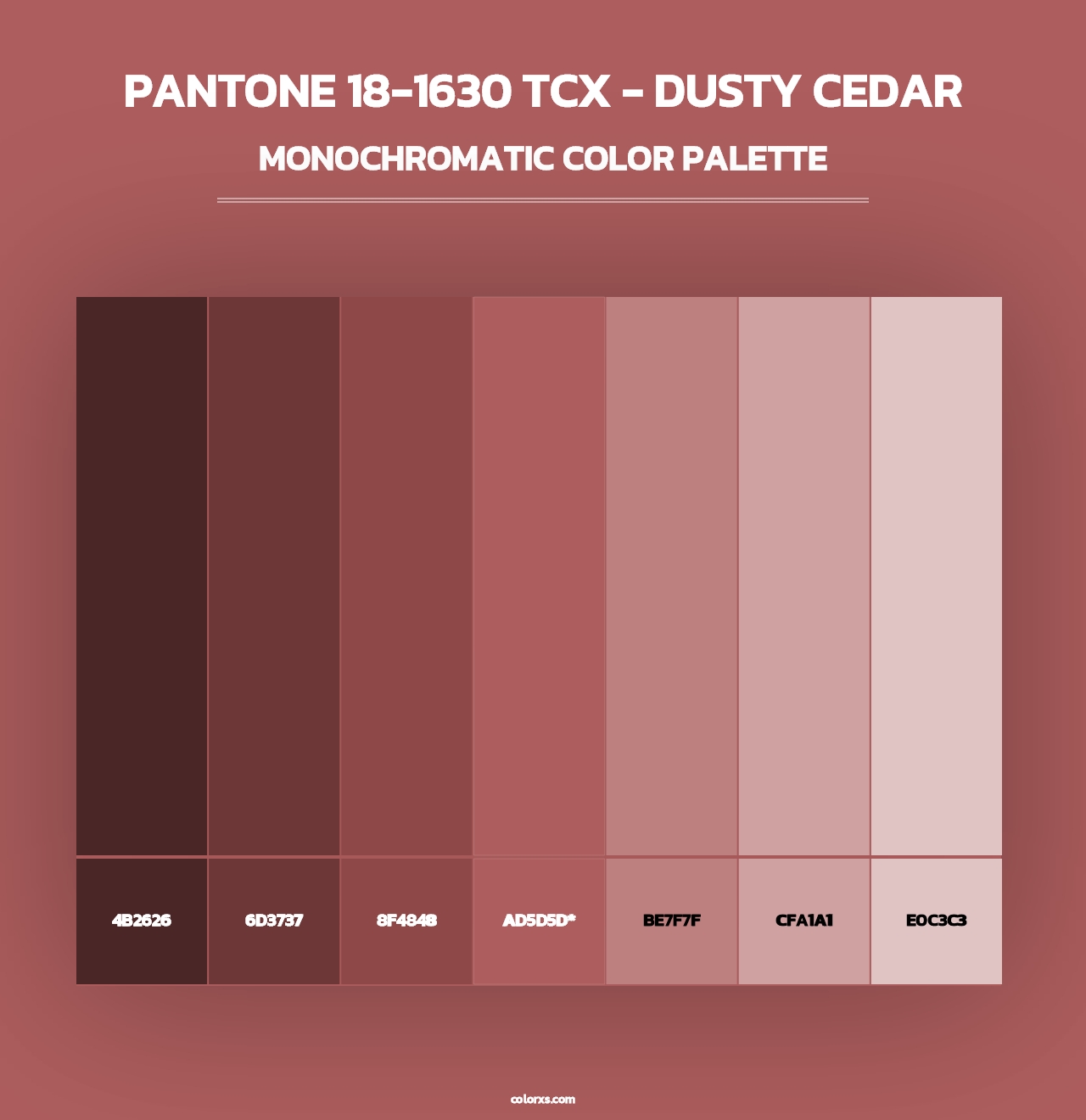 PANTONE 18-1630 TCX - Dusty Cedar - Monochromatic Color Palette