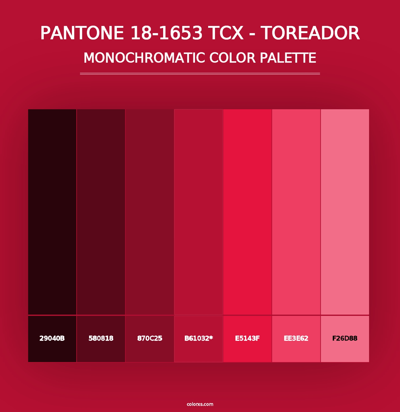 PANTONE 18-1653 TCX - Toreador - Monochromatic Color Palette