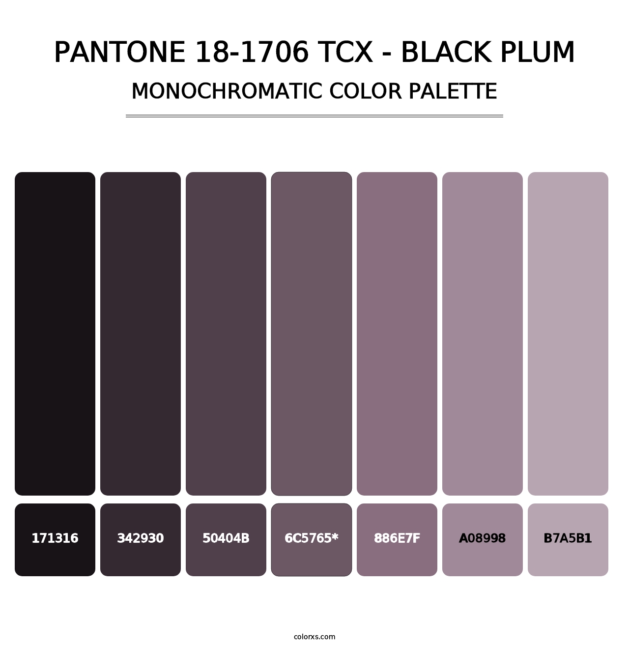 PANTONE 18-1706 TCX - Black Plum - Monochromatic Color Palette