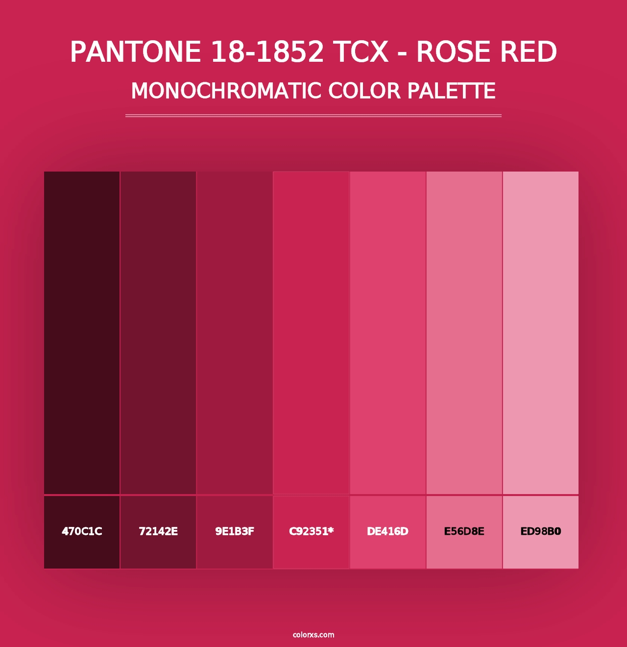 PANTONE 18-1852 TCX - Rose Red - Monochromatic Color Palette