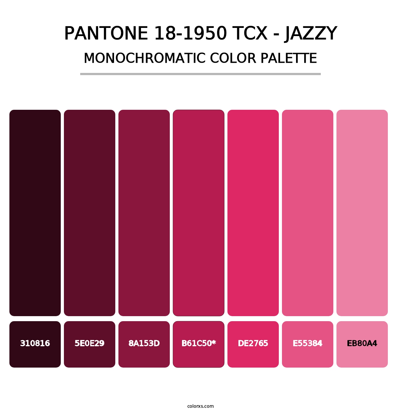 PANTONE 18-1950 TCX - Jazzy - Monochromatic Color Palette