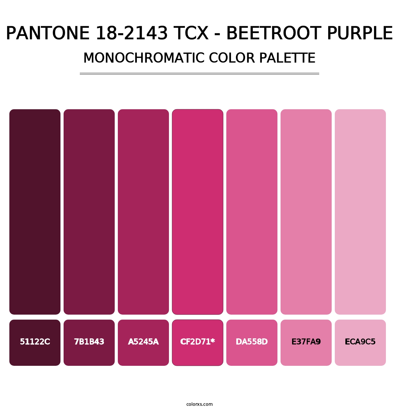 PANTONE 18-2143 TCX - Beetroot Purple - Monochromatic Color Palette