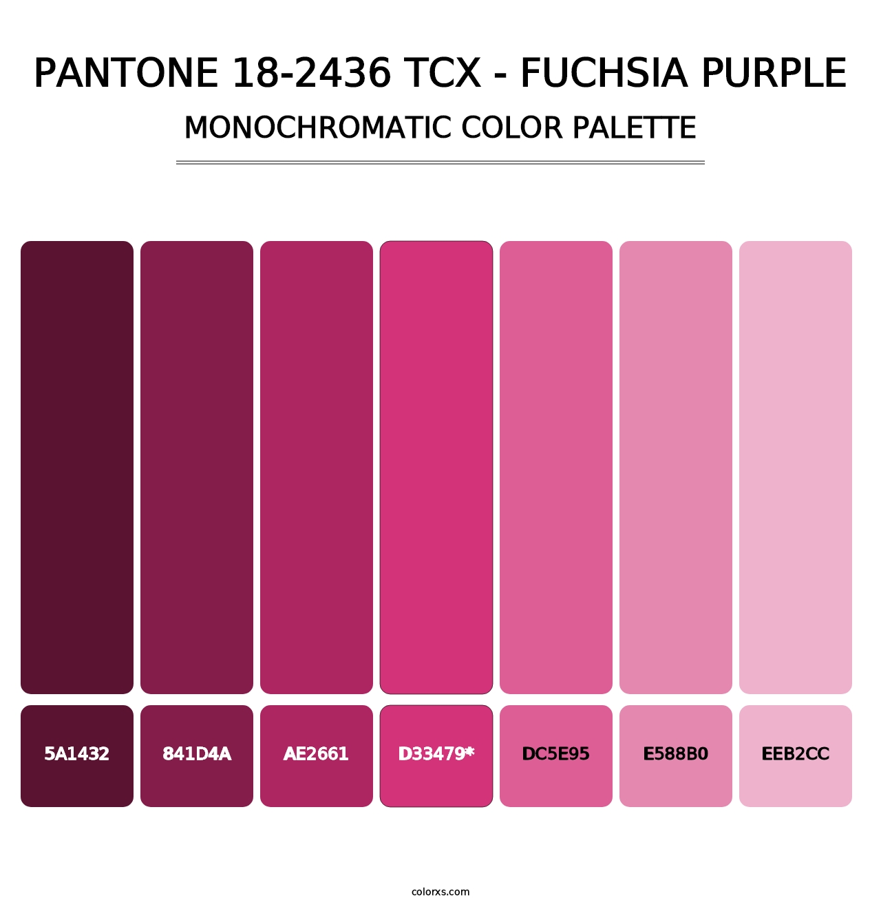 PANTONE 18-2436 TCX - Fuchsia Purple - Monochromatic Color Palette