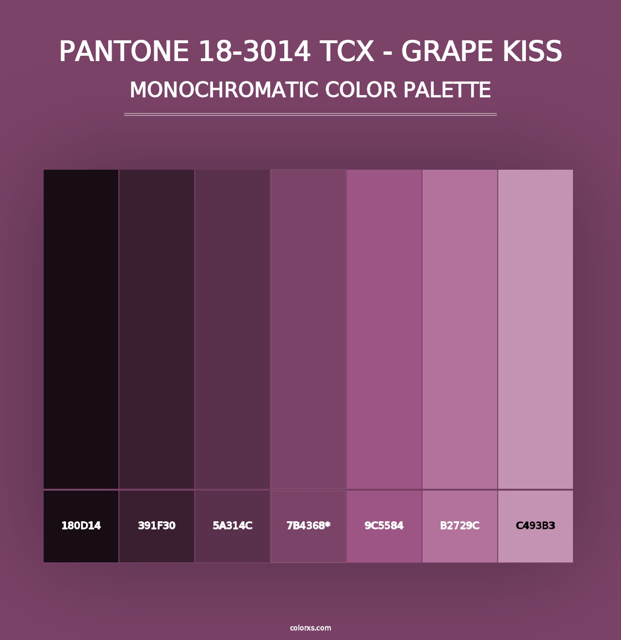 PANTONE 18-3014 TCX - Grape Kiss - Monochromatic Color Palette