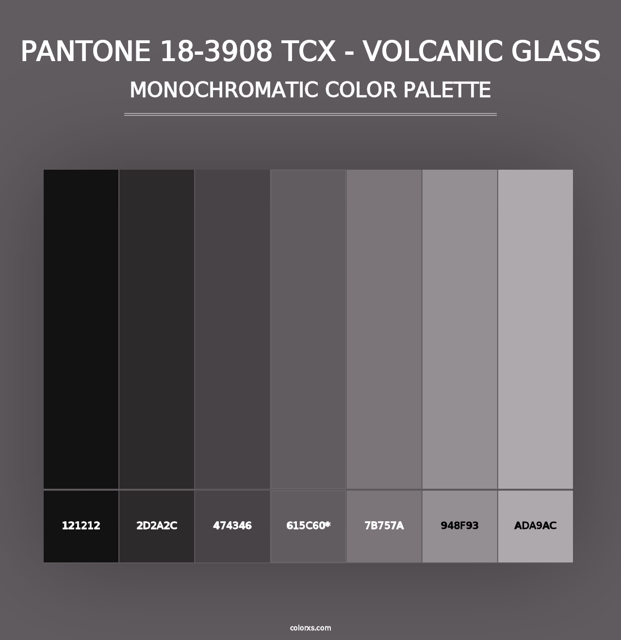 PANTONE 18-3908 TCX - Volcanic Glass - Monochromatic Color Palette