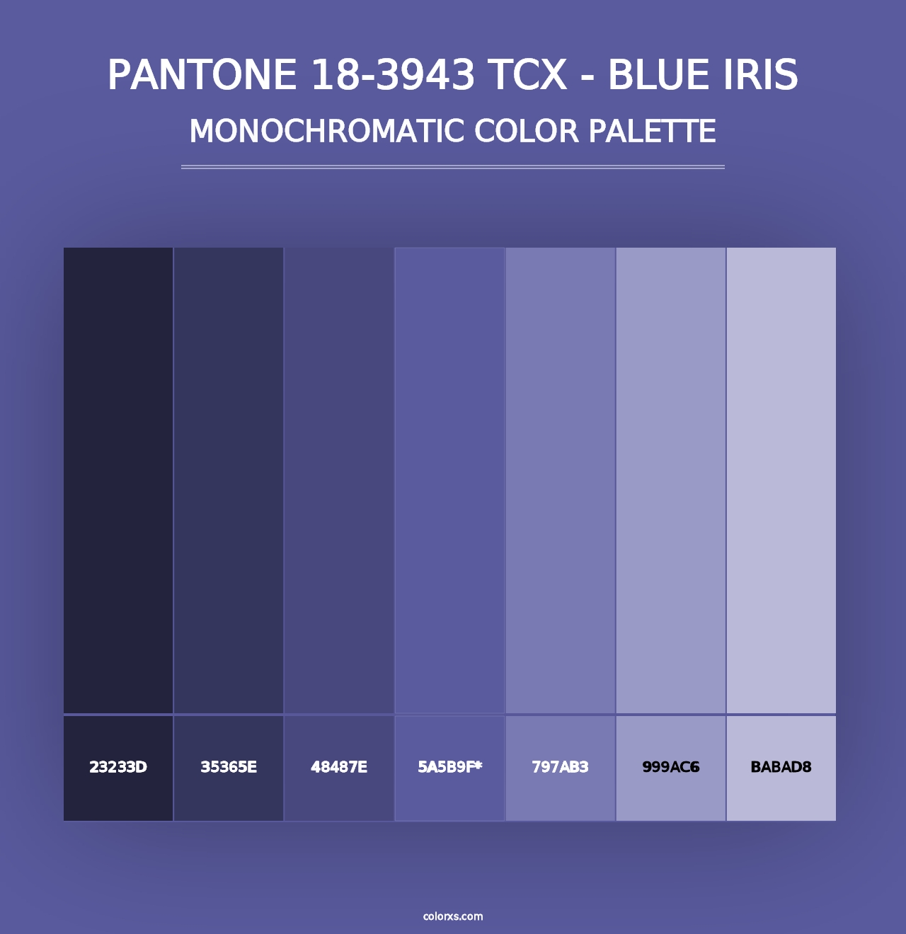 PANTONE 18-3943 TCX - Blue Iris - Monochromatic Color Palette