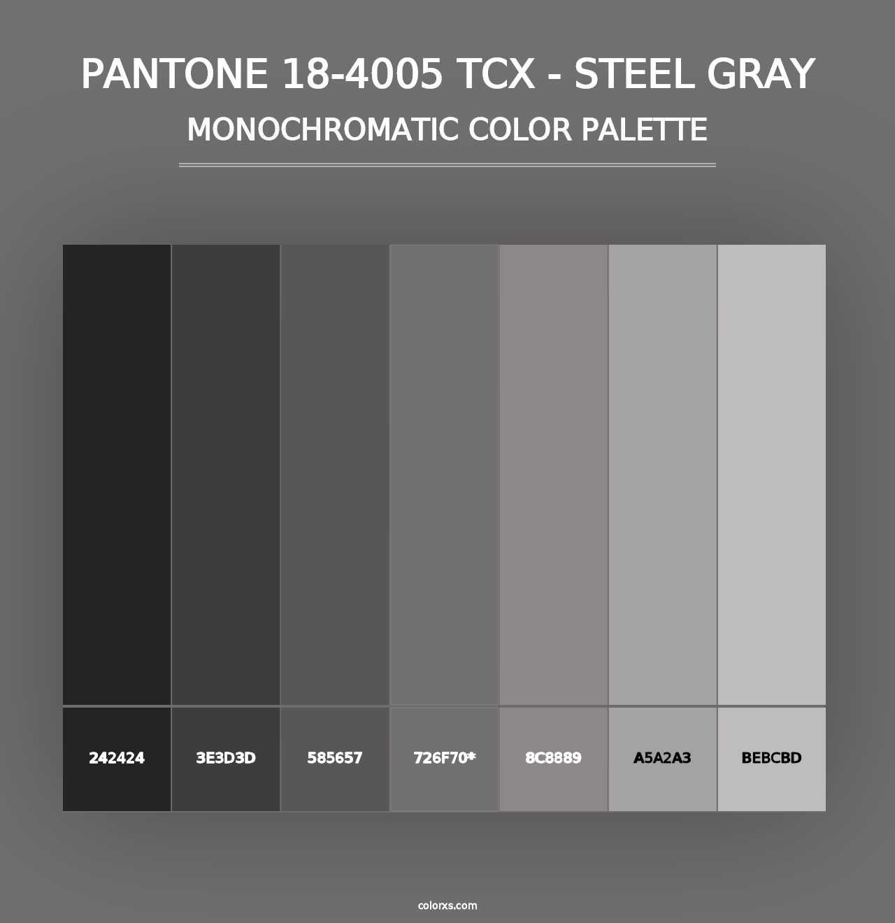 PANTONE 18-4005 TCX - Steel Gray - Monochromatic Color Palette