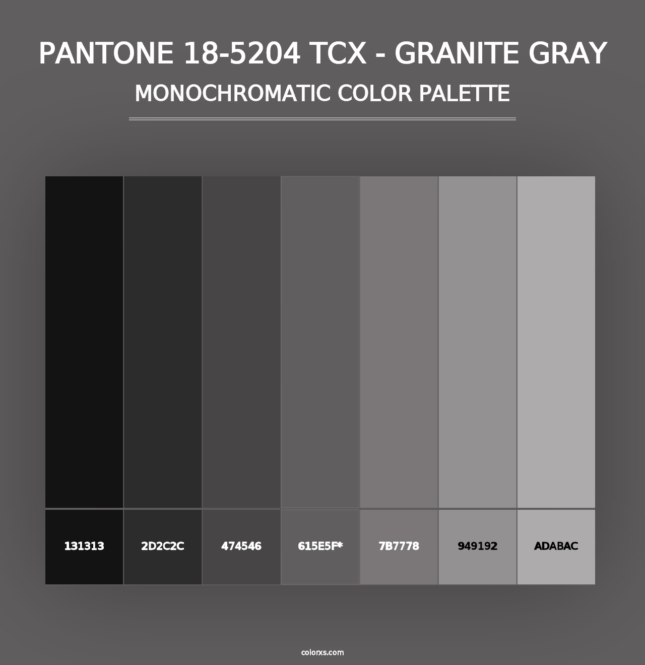 PANTONE 18-5204 TCX - Granite Gray - Monochromatic Color Palette