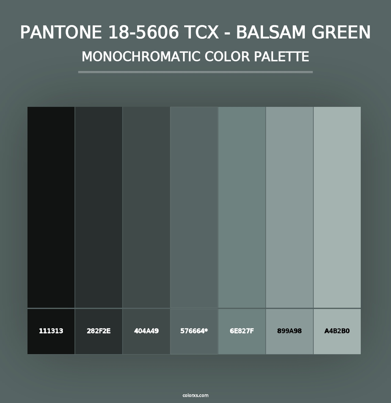 PANTONE 18-5606 TCX - Balsam Green - Monochromatic Color Palette