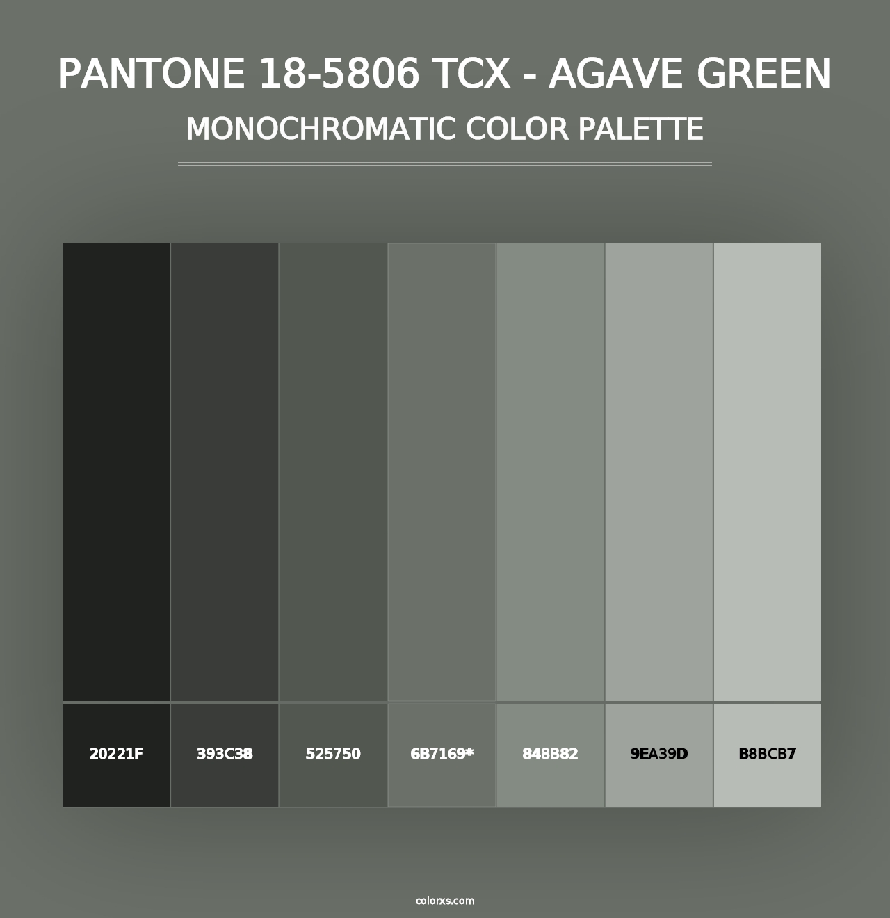 PANTONE 18-5806 TCX - Agave Green - Monochromatic Color Palette