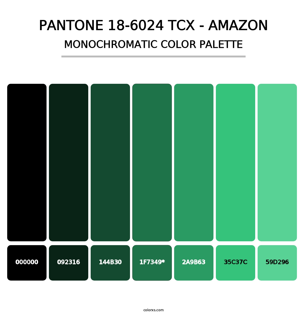 PANTONE 18-6024 TCX - Amazon - Monochromatic Color Palette