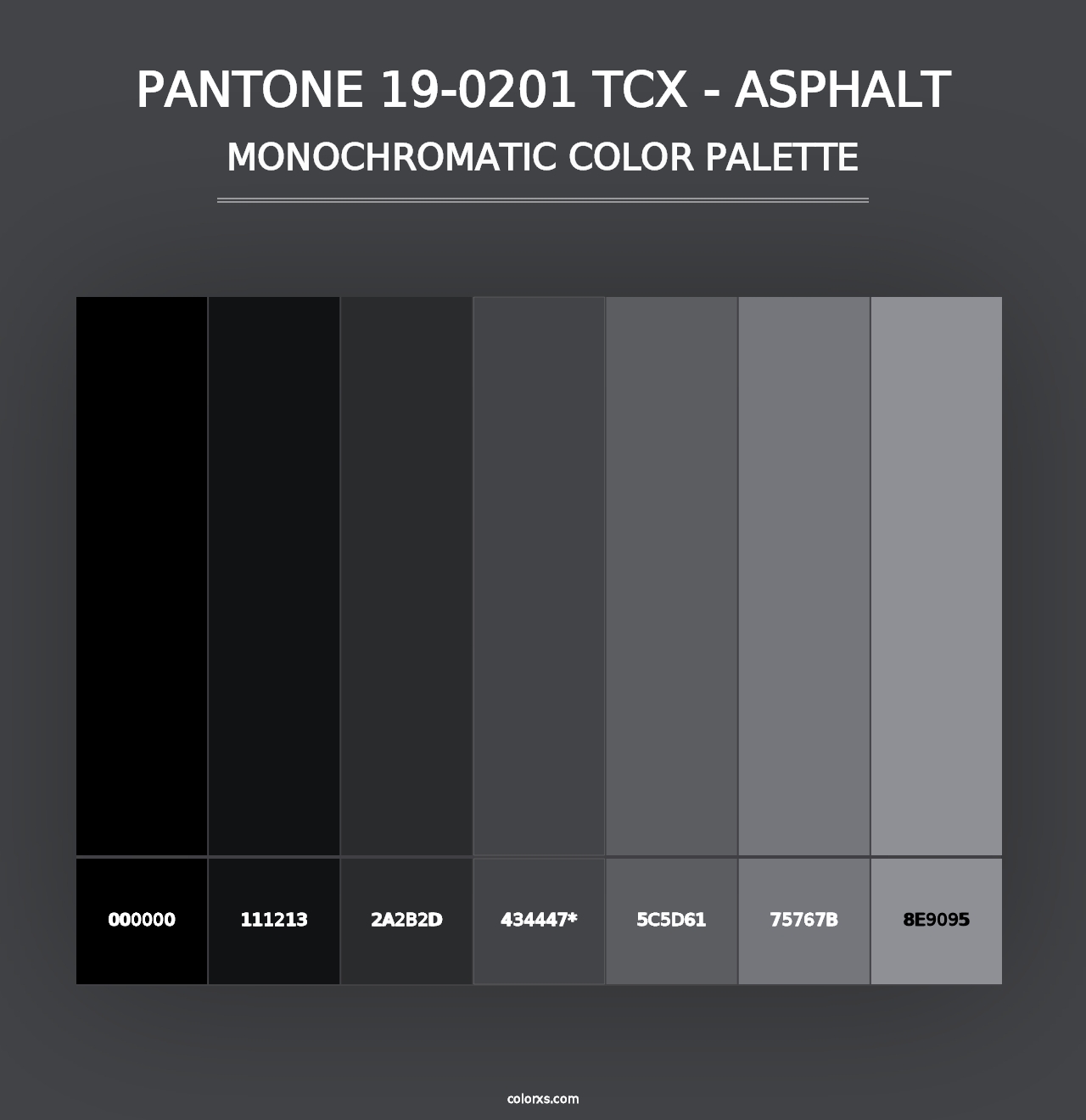 PANTONE 19-0201 TCX - Asphalt - Monochromatic Color Palette