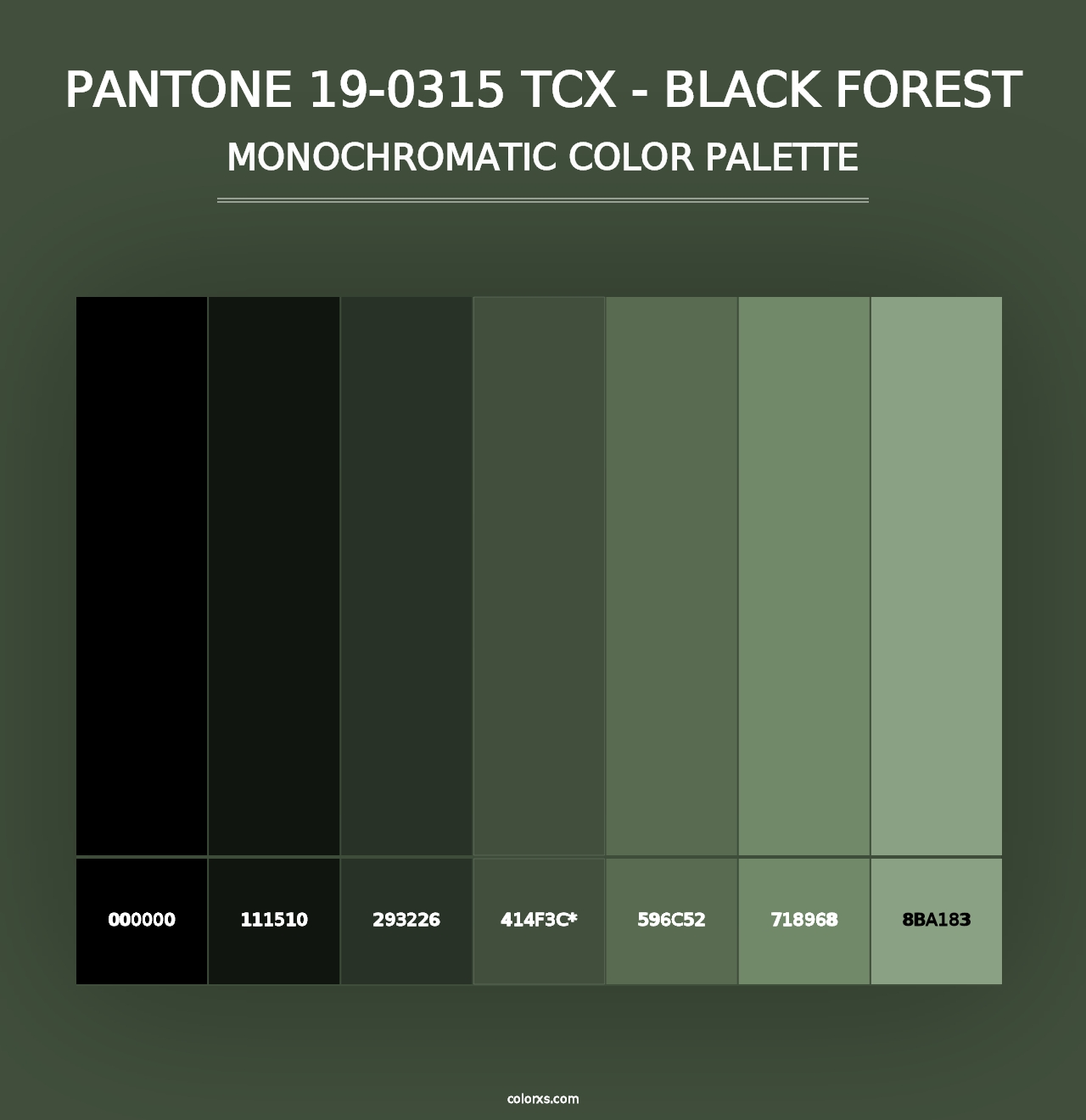 PANTONE 19-0315 TCX - Black Forest - Monochromatic Color Palette