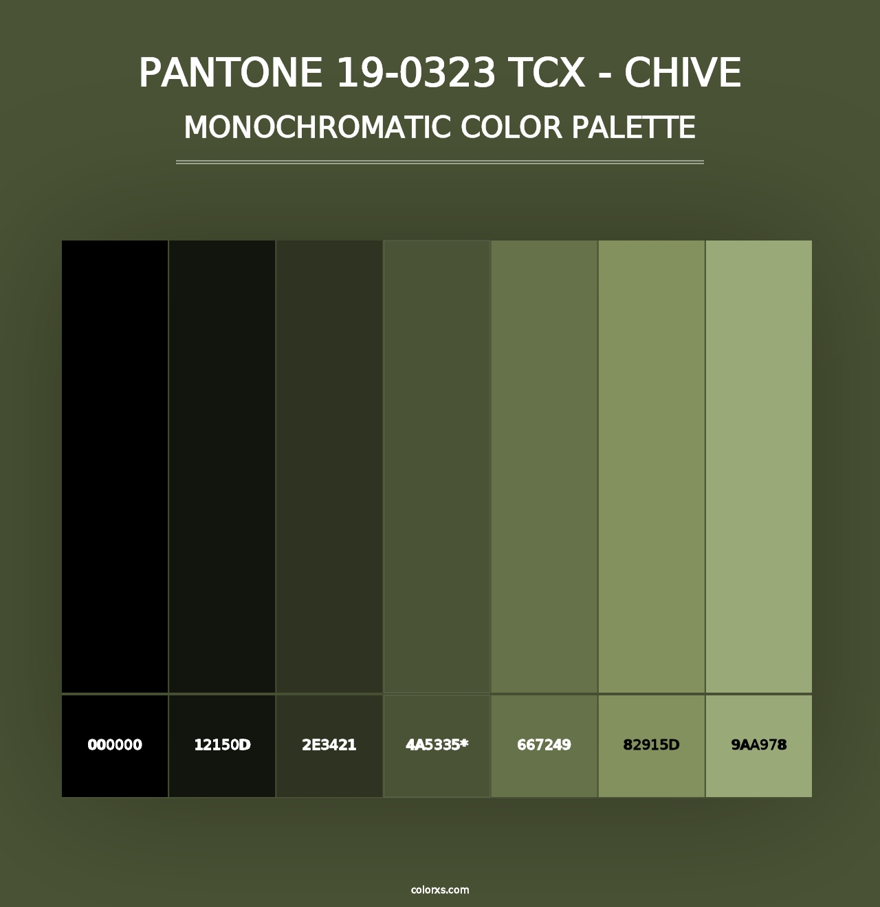 PANTONE 19-0323 TCX - Chive - Monochromatic Color Palette