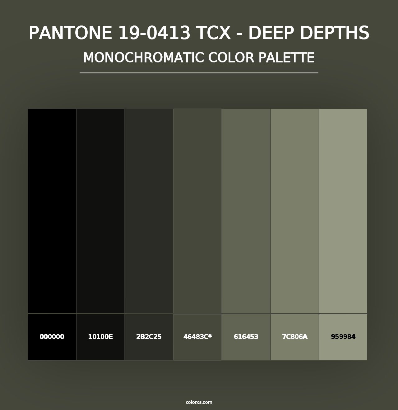 PANTONE 19-0413 TCX - Deep Depths - Monochromatic Color Palette