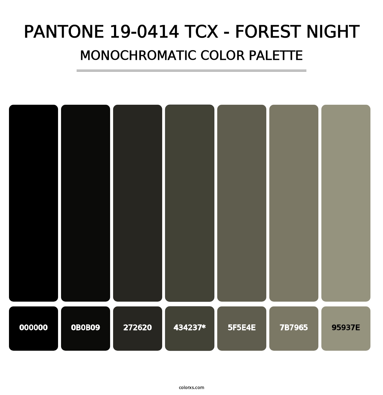 PANTONE 19-0414 TCX - Forest Night - Monochromatic Color Palette