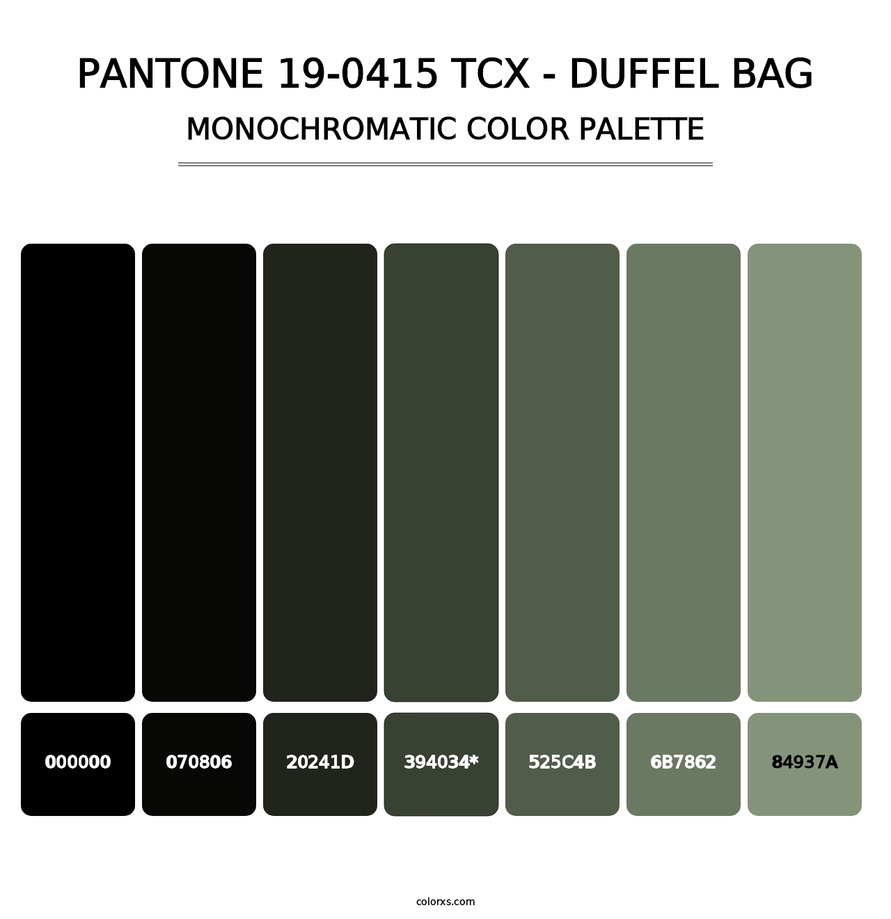 PANTONE 19-0415 TCX - Duffel Bag - Monochromatic Color Palette