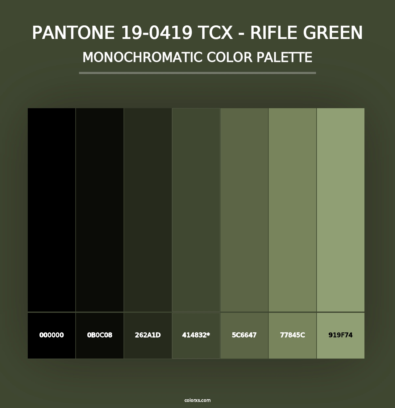 PANTONE 19-0419 TCX - Rifle Green - Monochromatic Color Palette