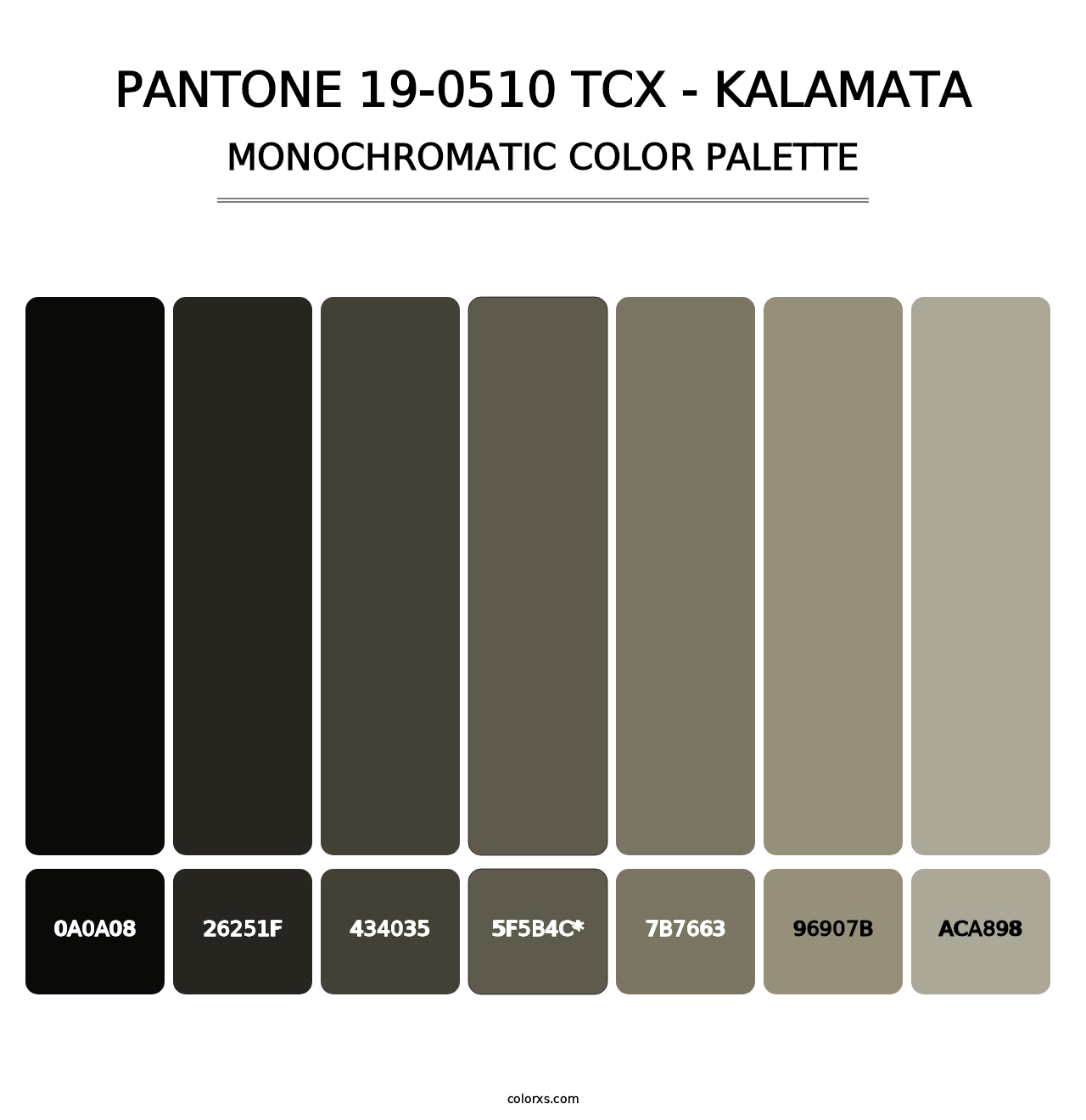 PANTONE 19-0510 TCX - Kalamata - Monochromatic Color Palette