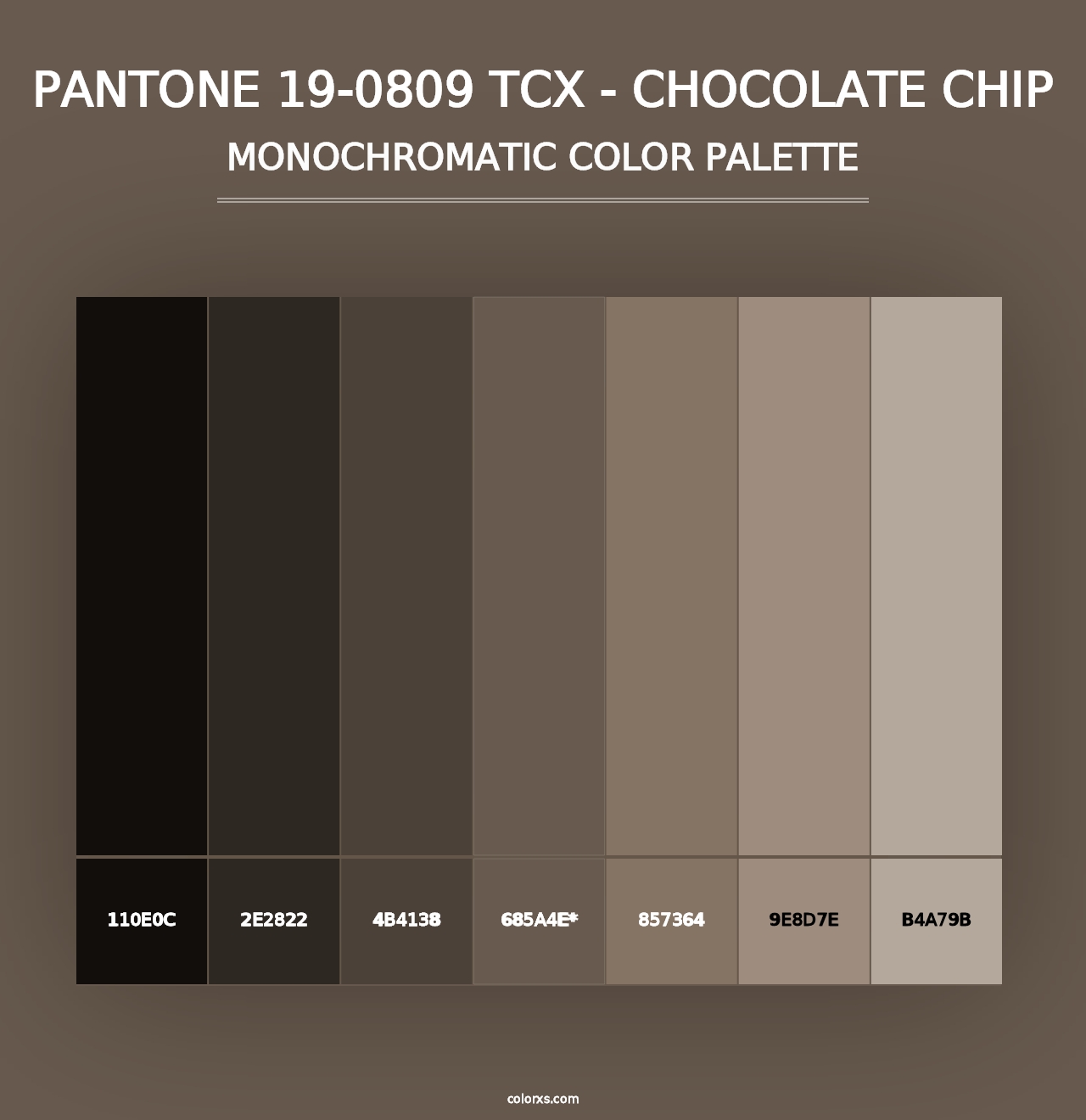 PANTONE 19-0809 TCX - Chocolate Chip - Monochromatic Color Palette