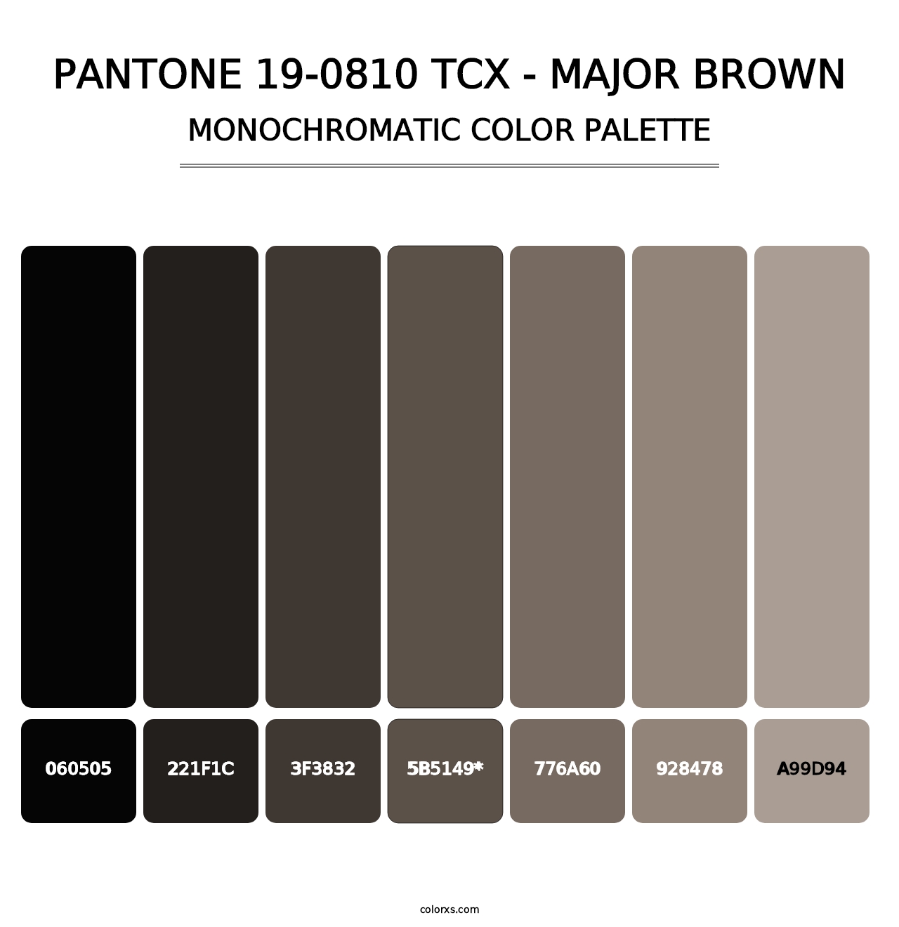 PANTONE 19-0810 TCX - Major Brown - Monochromatic Color Palette