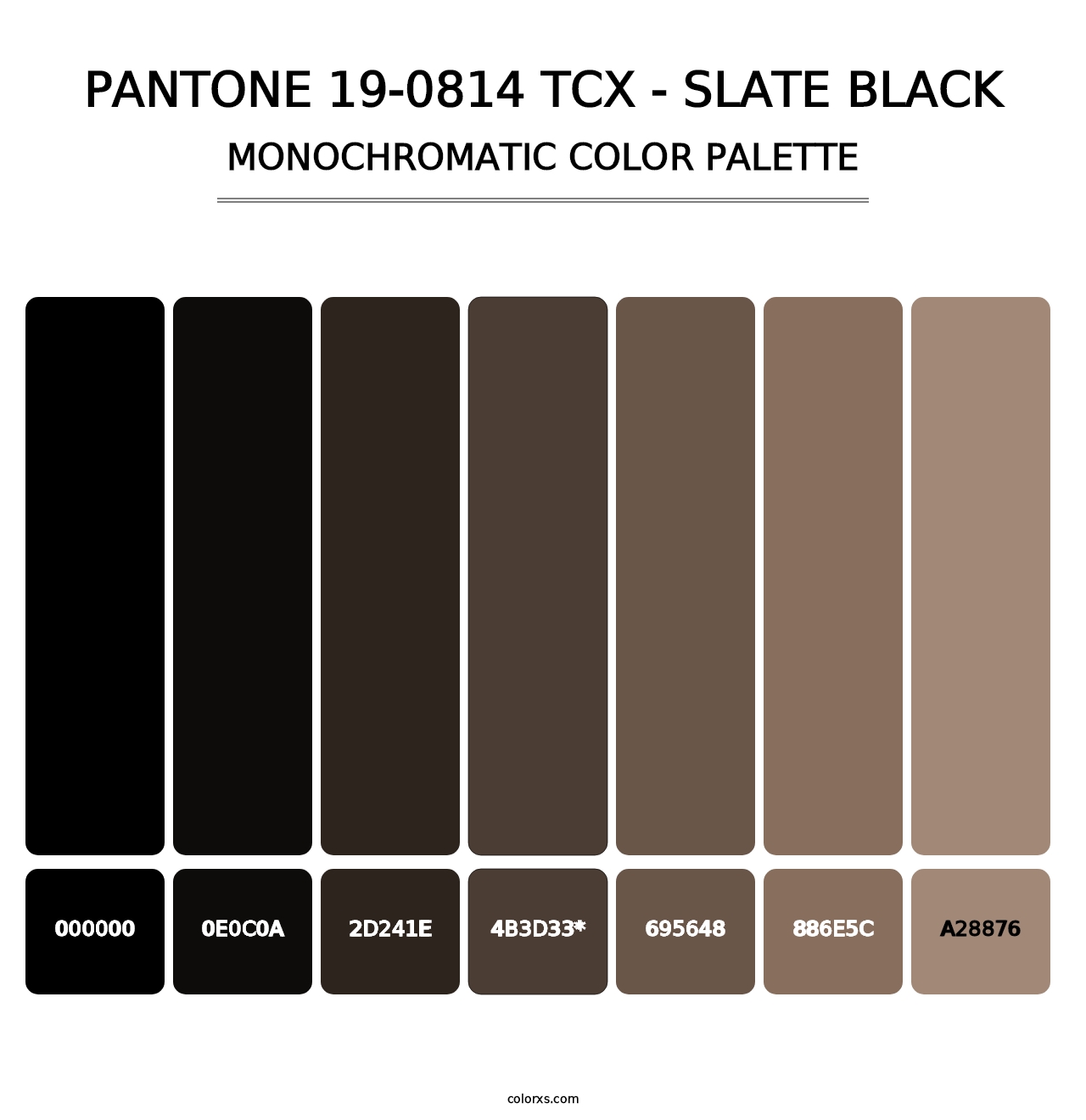 PANTONE 19-0814 TCX - Slate Black - Monochromatic Color Palette