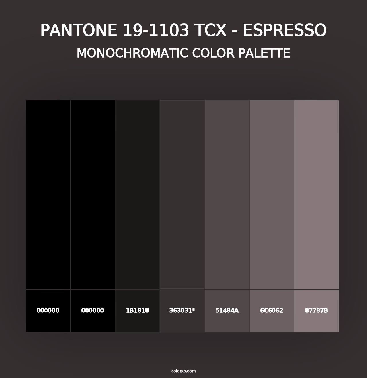 PANTONE 19-1103 TCX - Espresso - Monochromatic Color Palette