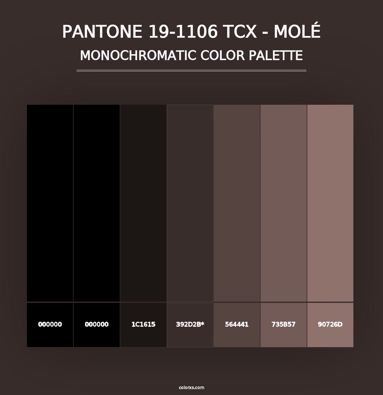 PANTONE 19-1106 TCX - Molé - Monochromatic Color Palette