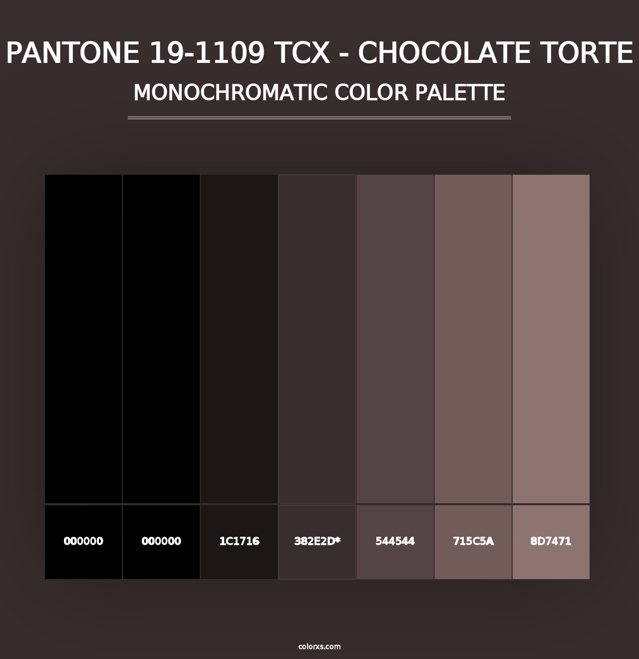 PANTONE 19-1109 TCX - Chocolate Torte - Monochromatic Color Palette