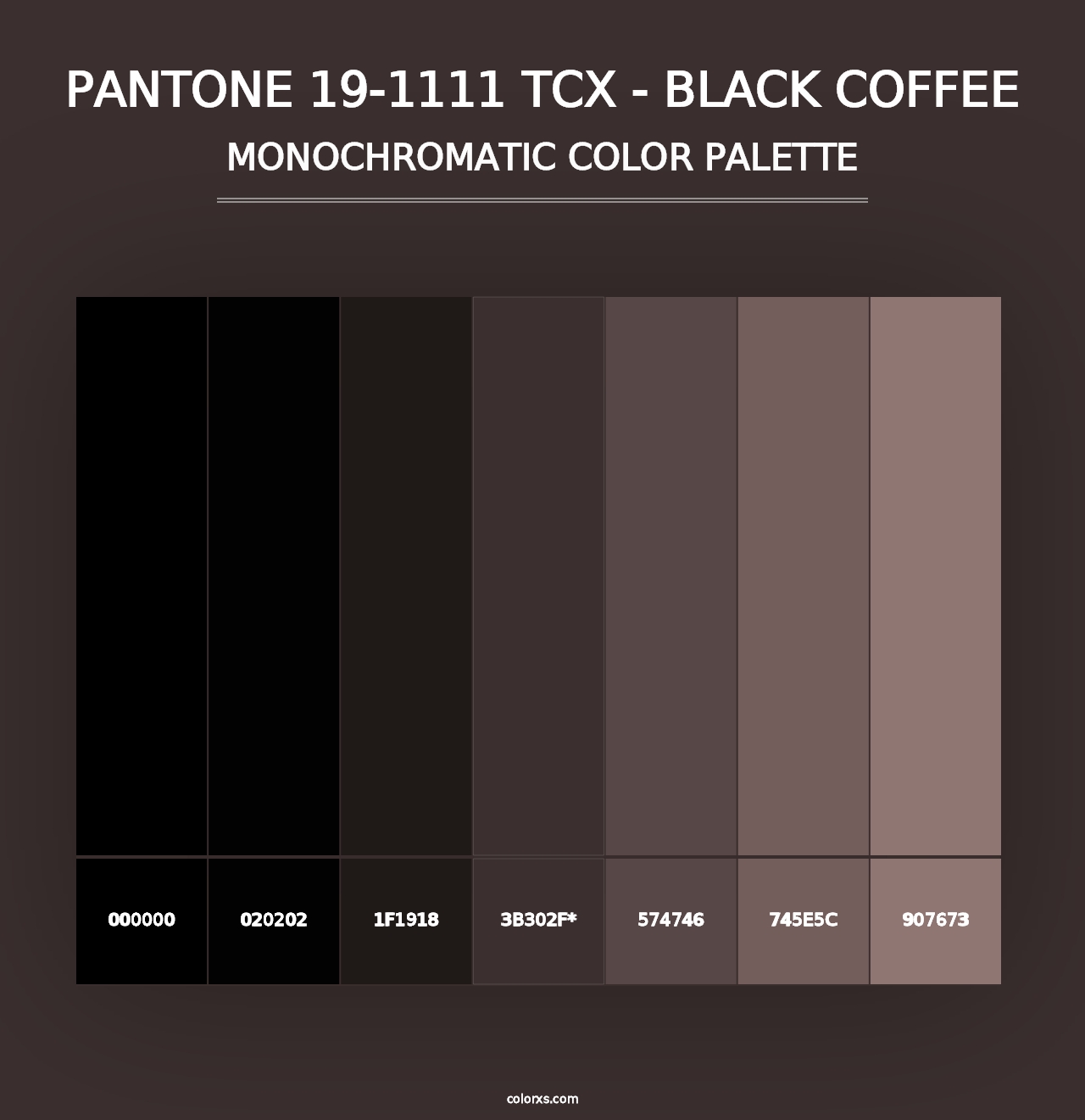 PANTONE 19-1111 TCX - Black Coffee - Monochromatic Color Palette