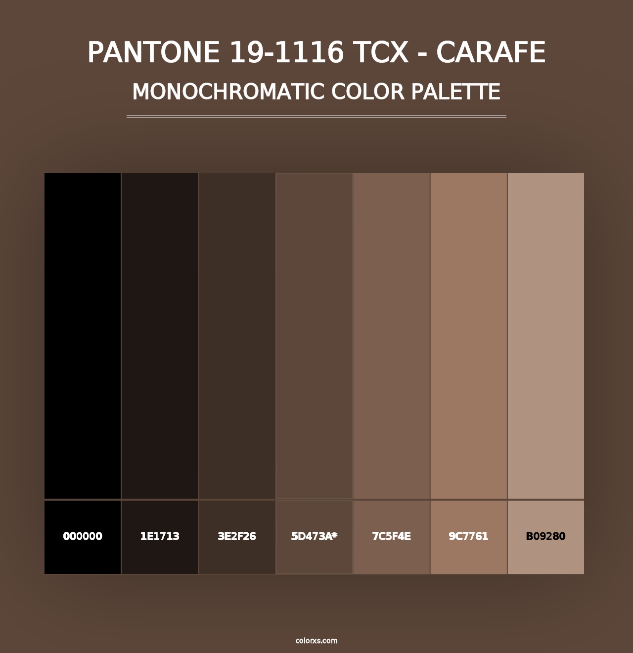 PANTONE 19-1116 TCX - Carafe - Monochromatic Color Palette