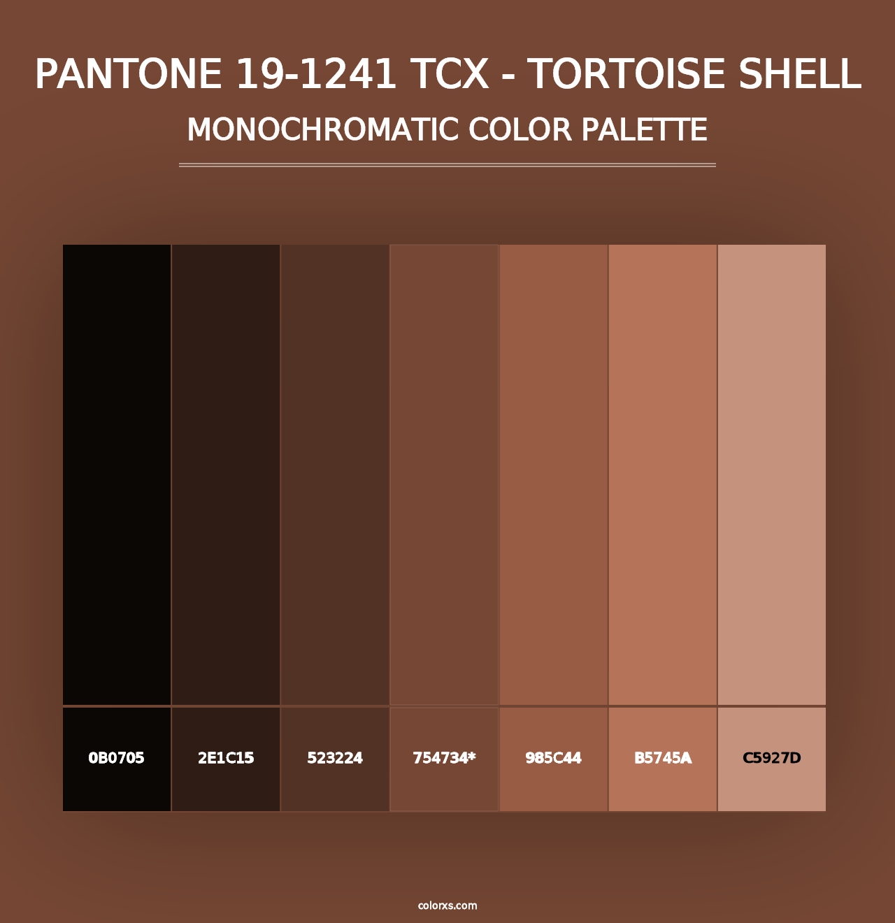 PANTONE 19-1241 TCX - Tortoise Shell - Monochromatic Color Palette