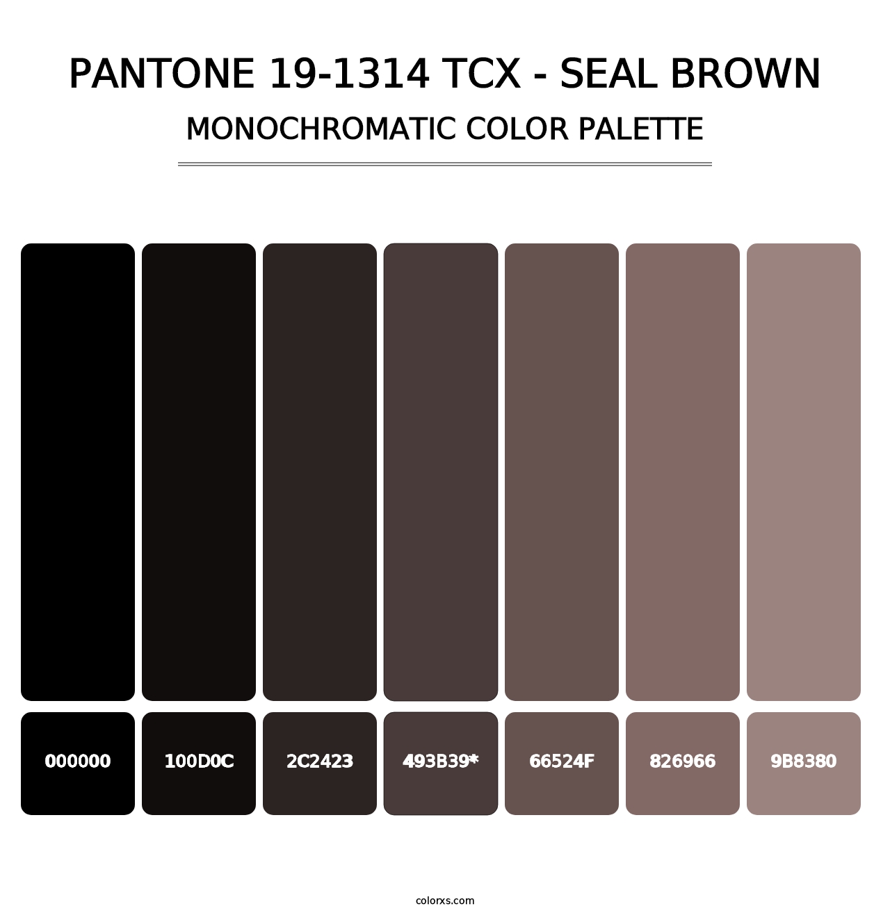 PANTONE 19-1314 TCX - Seal Brown - Monochromatic Color Palette