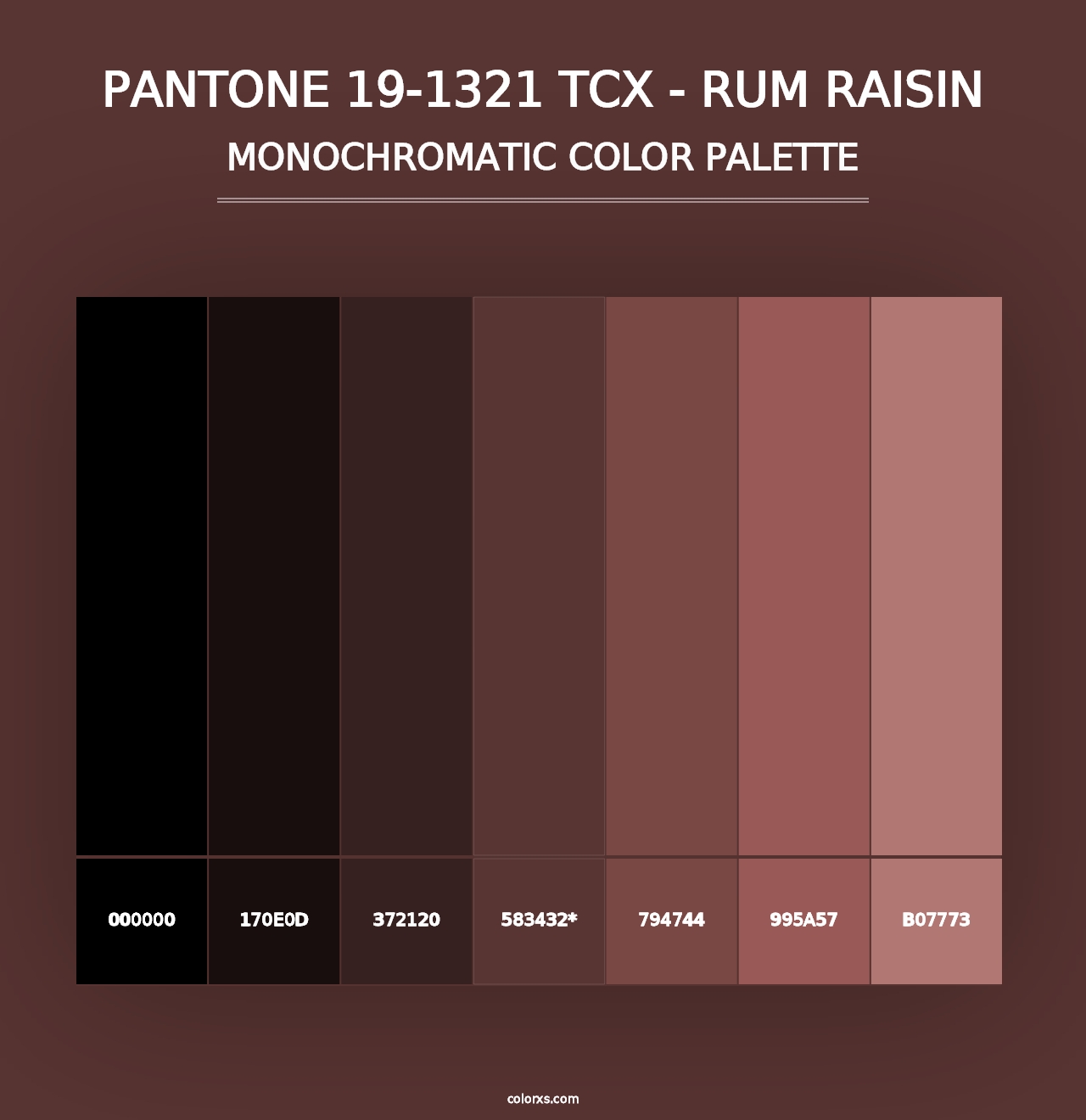 PANTONE 19-1321 TCX - Rum Raisin - Monochromatic Color Palette