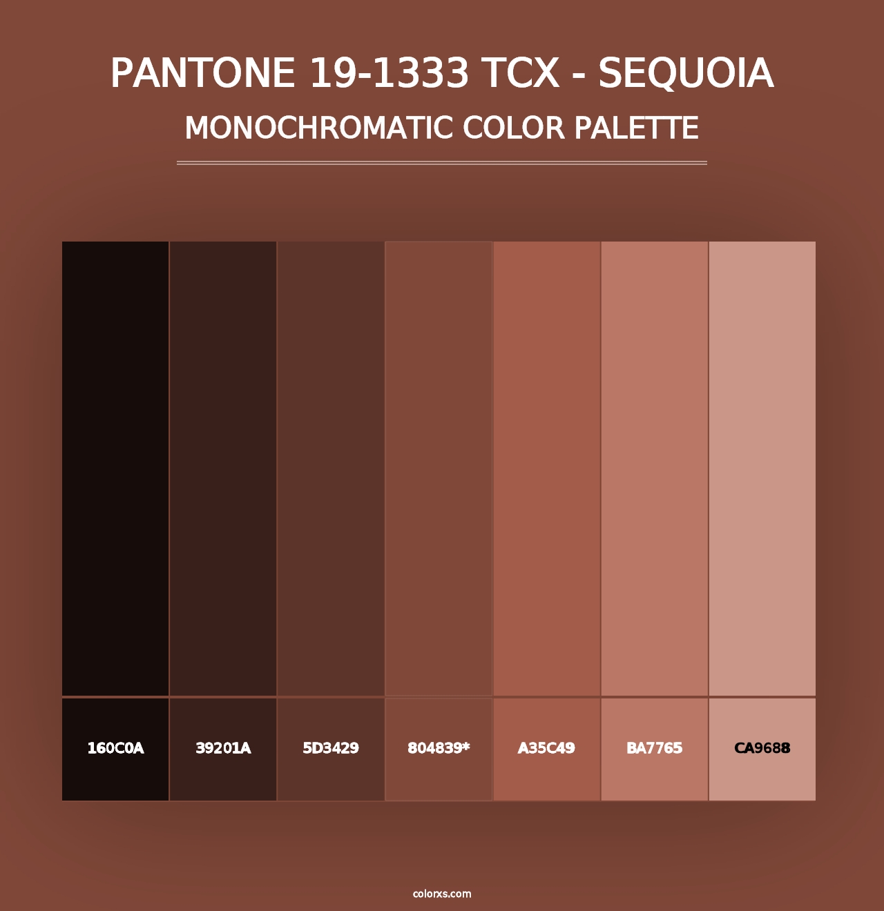 PANTONE 19-1333 TCX - Sequoia - Monochromatic Color Palette