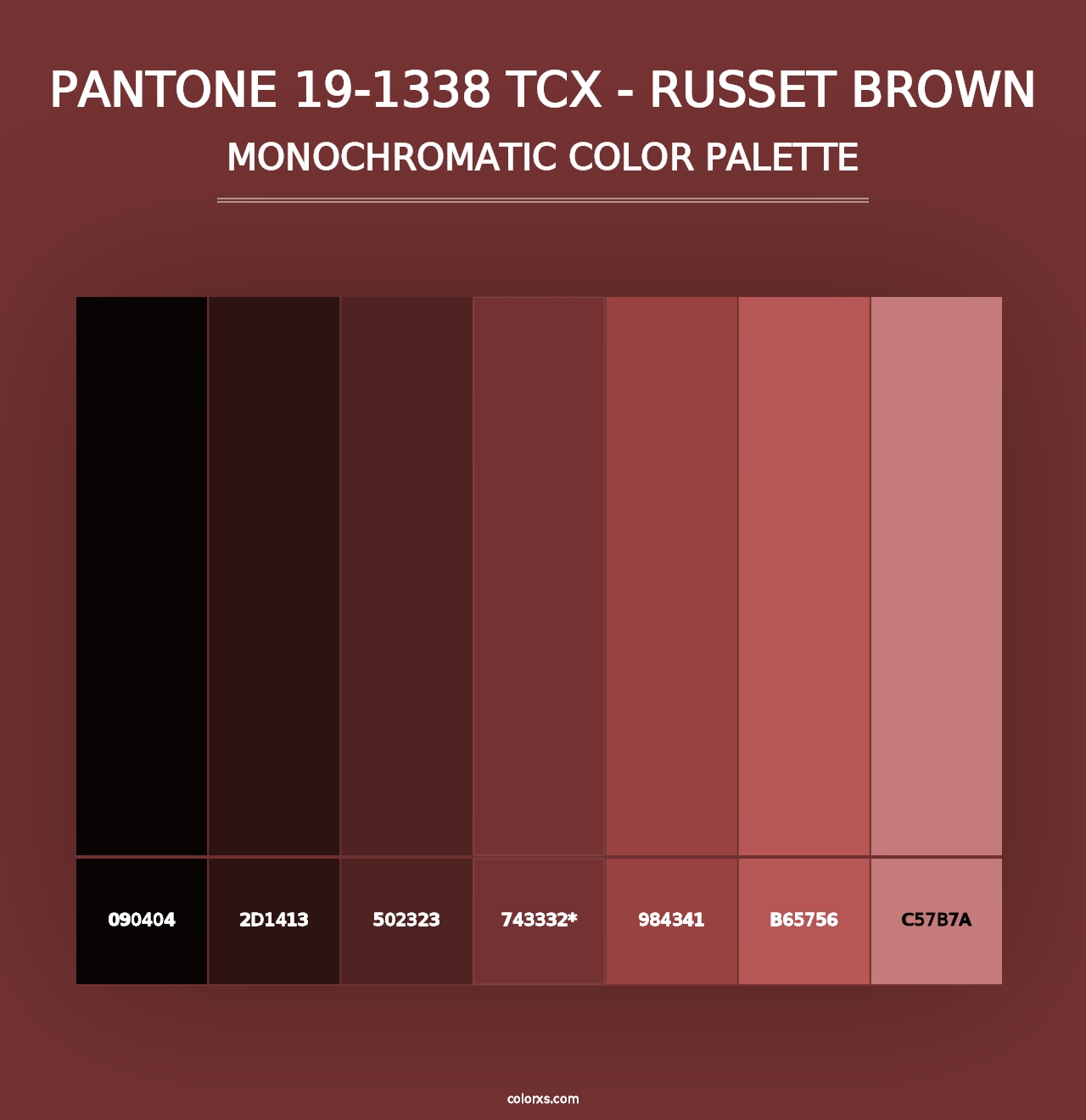 PANTONE 19-1338 TCX - Russet Brown - Monochromatic Color Palette