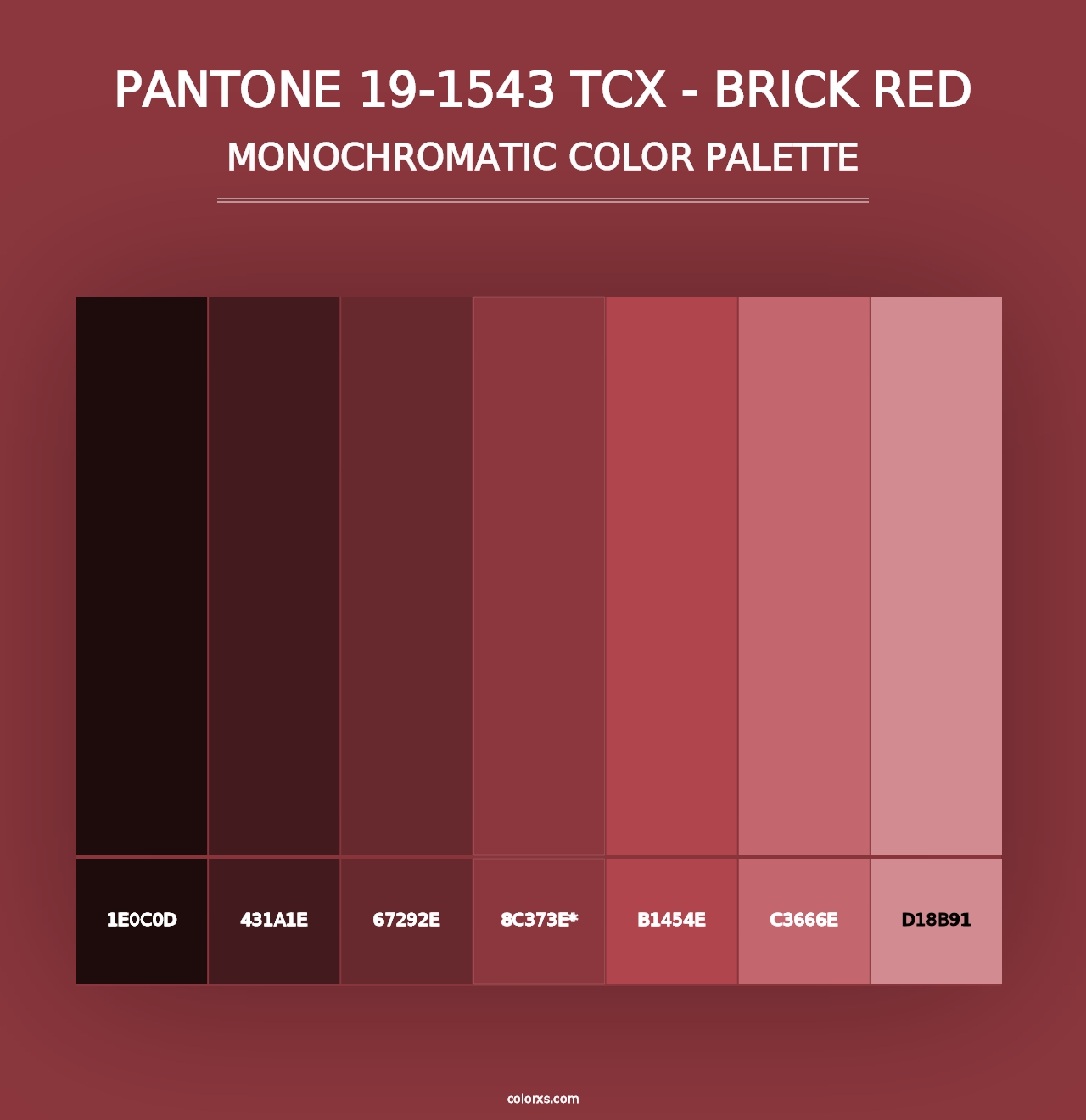 PANTONE 19-1543 TCX - Brick Red - Monochromatic Color Palette