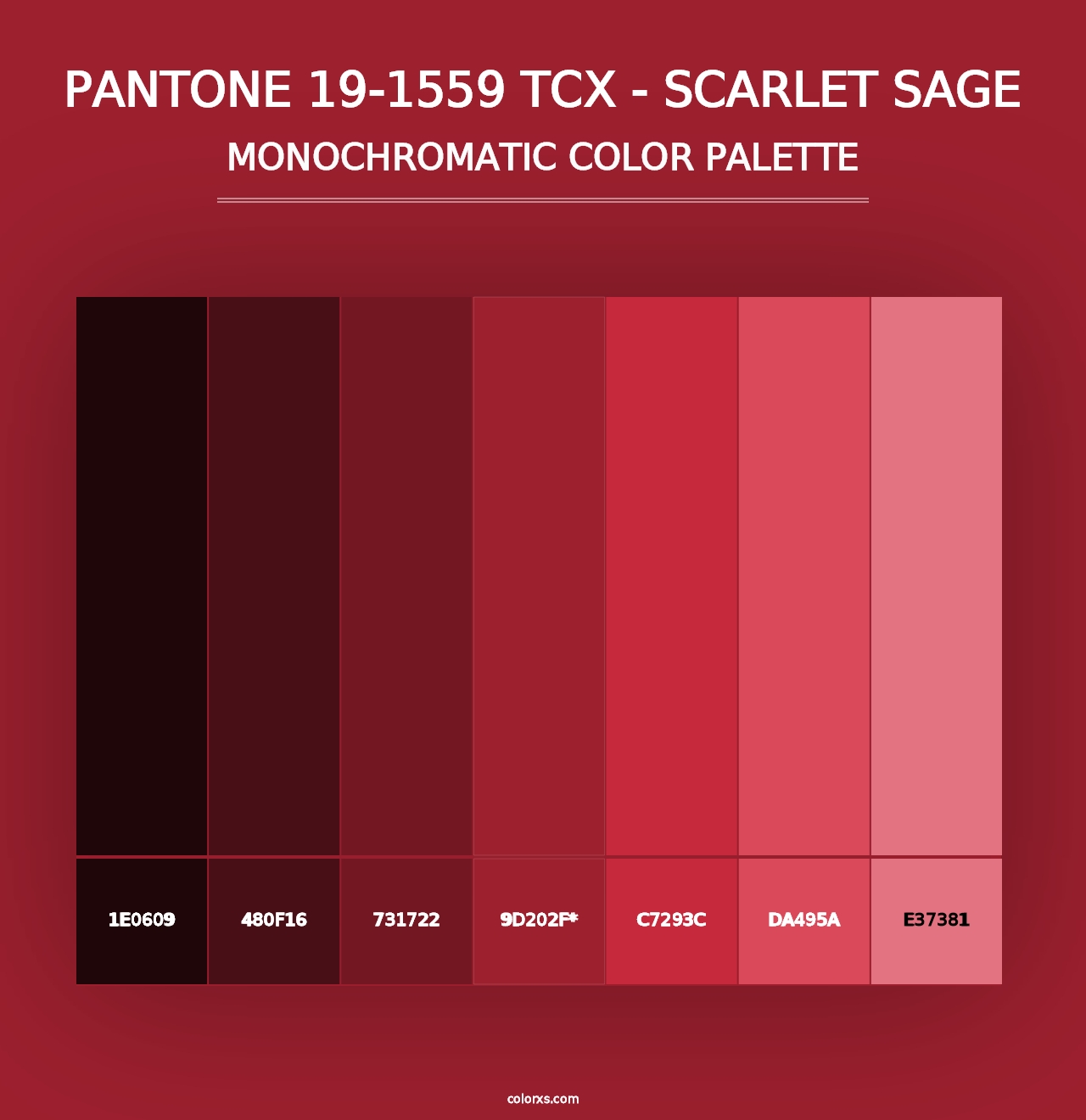 PANTONE 19-1559 TCX - Scarlet Sage - Monochromatic Color Palette