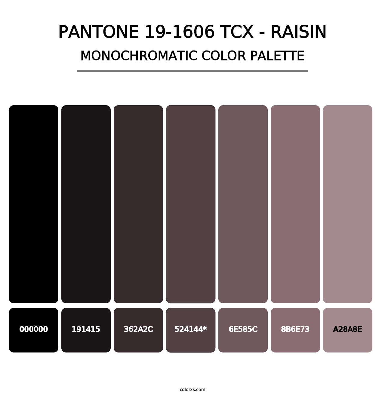 PANTONE 19-1606 TCX - Raisin - Monochromatic Color Palette